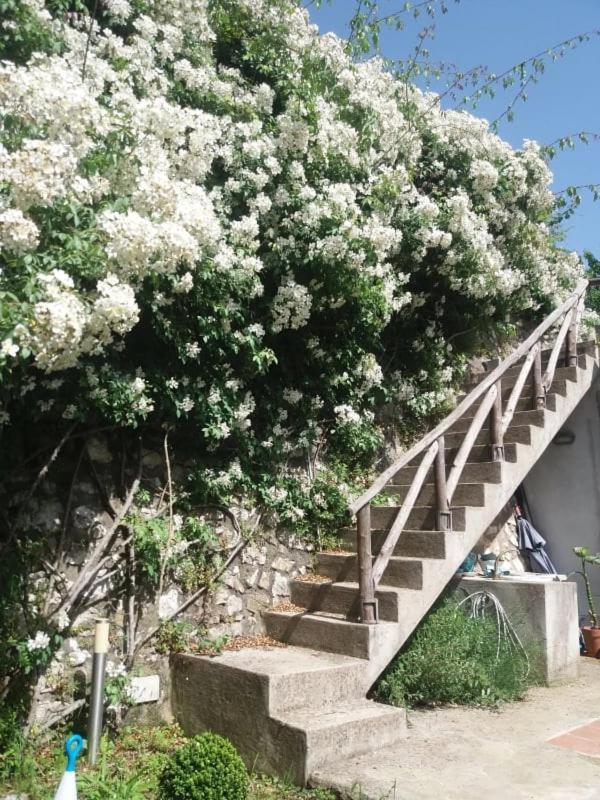 Pietra Rosa Bed & Breakfast Tramonti Ngoại thất bức ảnh